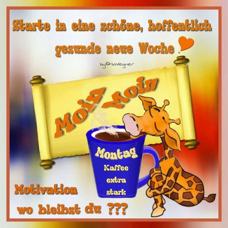 Bilder zu schönen montag