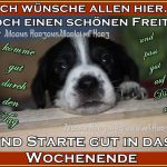 Cool freitag geldbeutel 150x150 - Bilder von freitag