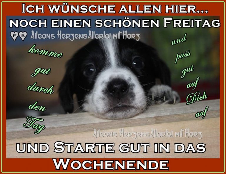 Cool freitag geldbeutel Bilder und Sprüche