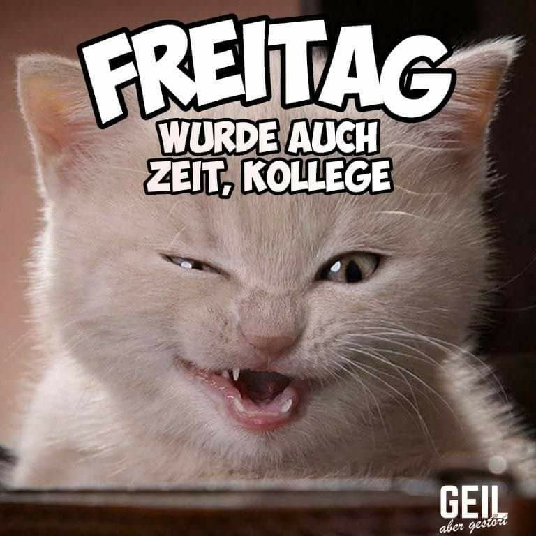 Der kleine freitag bilder