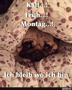 Einen schönen montag