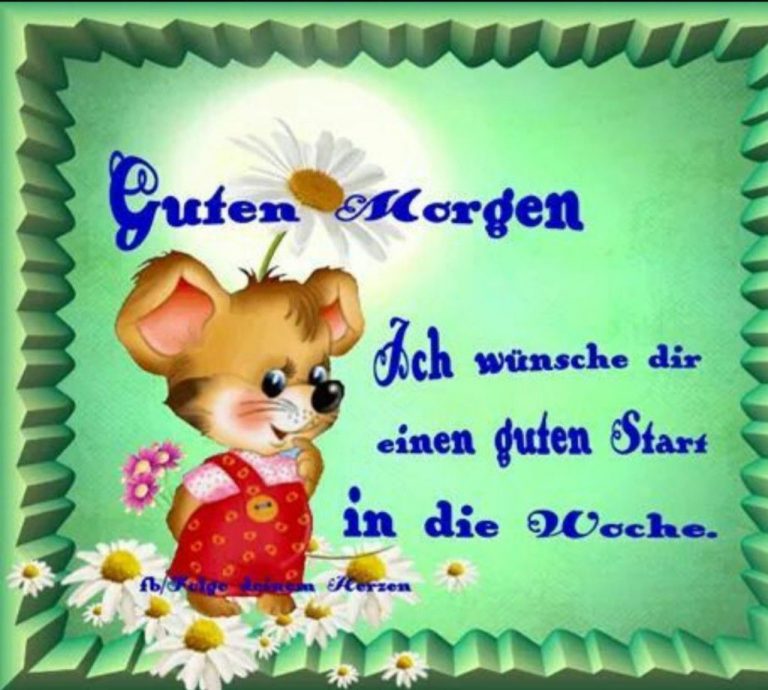 Einen wunderschönen montag bilder