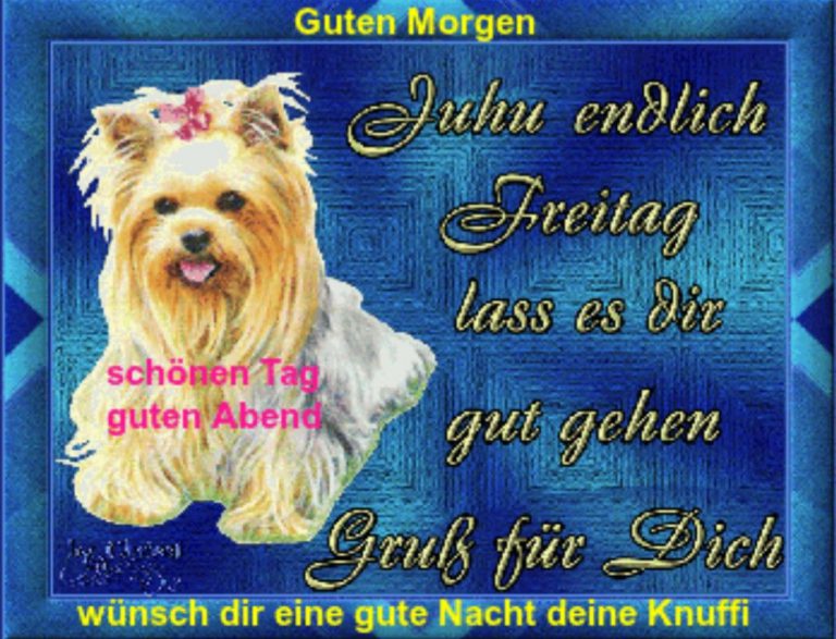 cool Freitag bilder lustig gif Bilder und Sprüche für Whatsapp und
