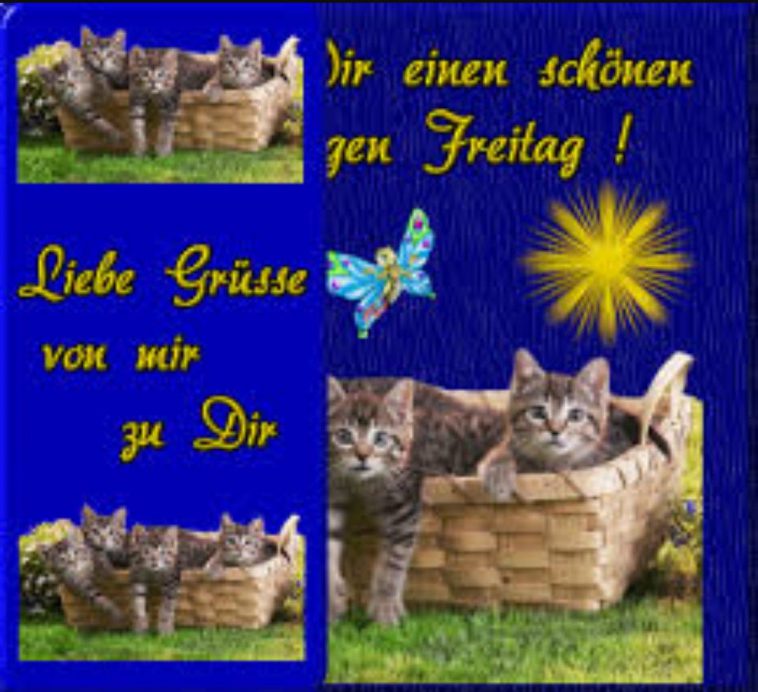 Die Magie des Morgenrituals: Starte deinen Tag mit Leichtigkeit und Freude Die Magie des Morgenrituals: Starte deinen Tag mit Leichtigkeit und Freude