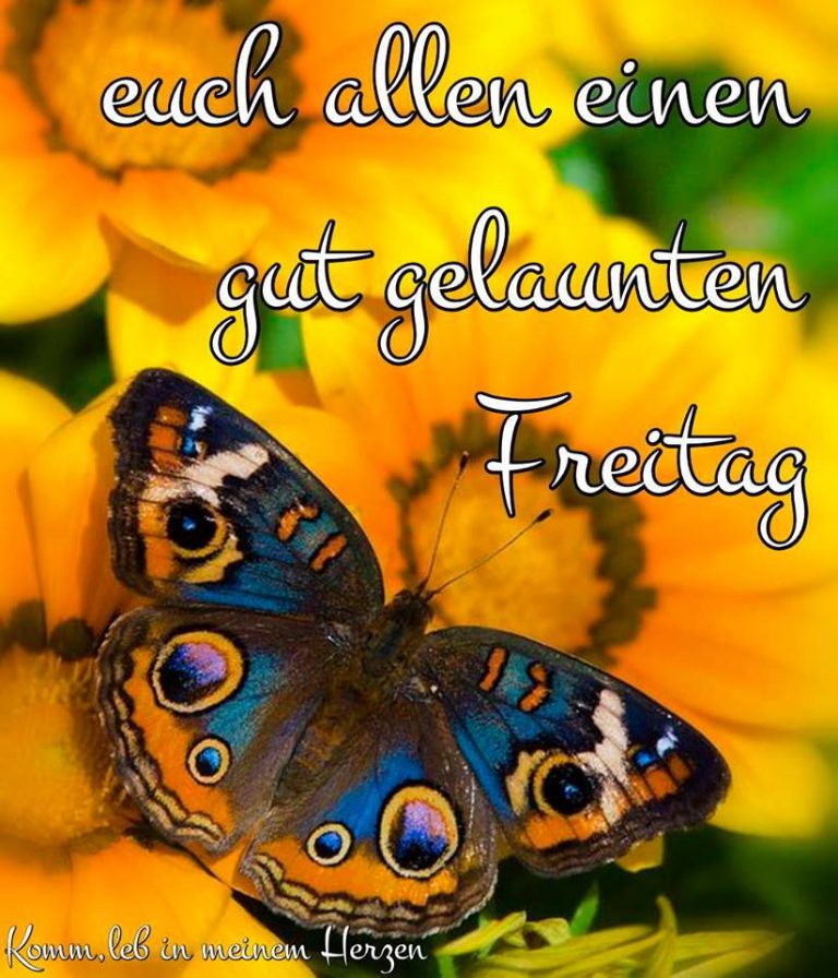 Freitag abend bilder dreamies
