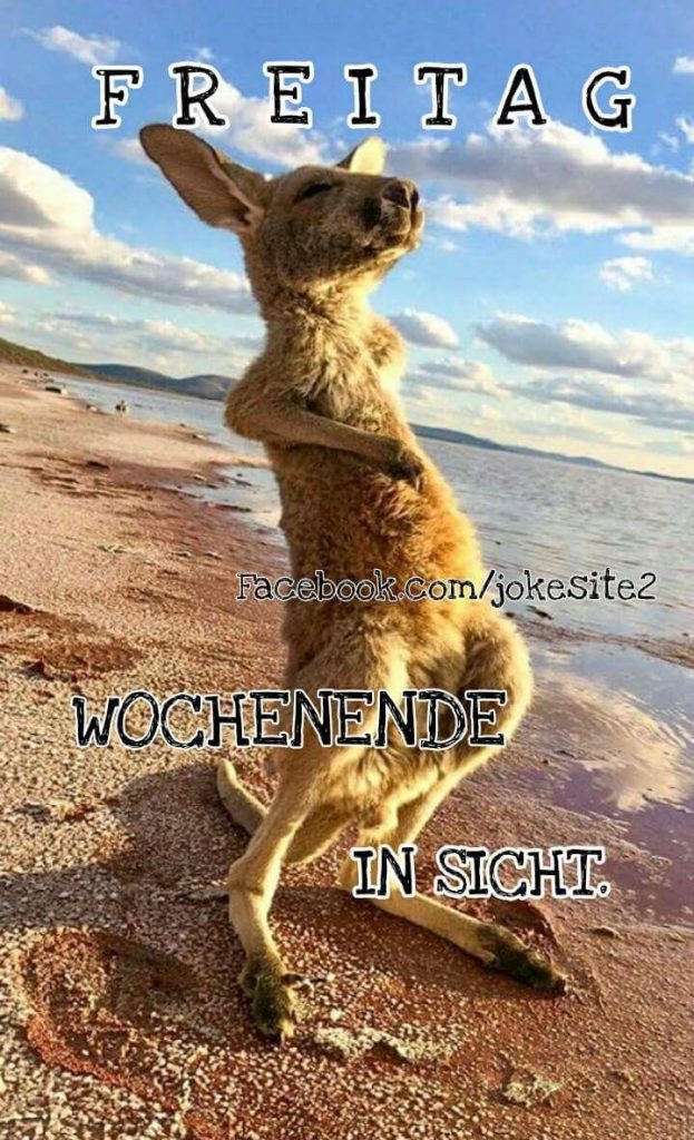 Schönen Freitag Und Schönes Wochenende Bilder Bilder zum freitag wochenende | Bilder und Sprüche für Whatsapp und