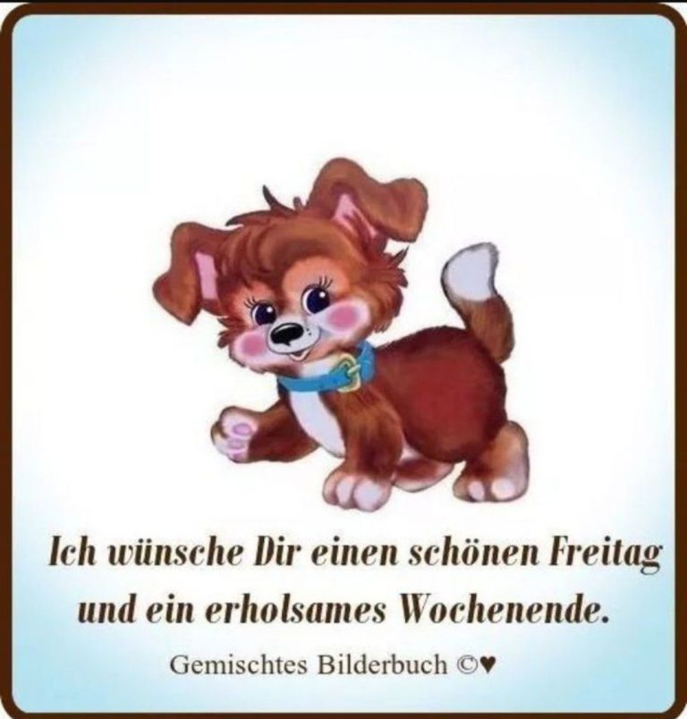Freitag bilder tiere