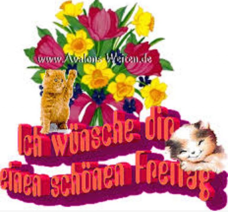Freitag mittag bilder