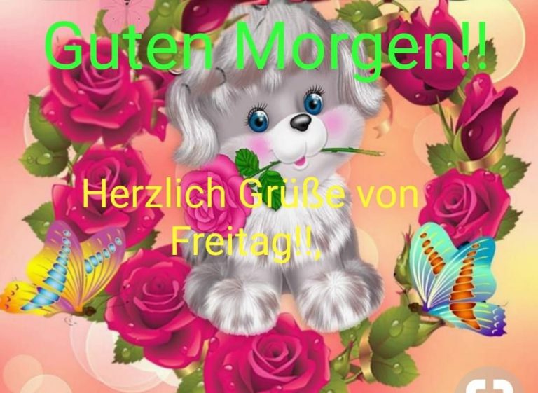 Freitag morgen bilder