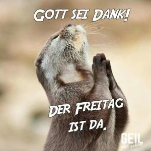 Freitag schönes wochenende bilder