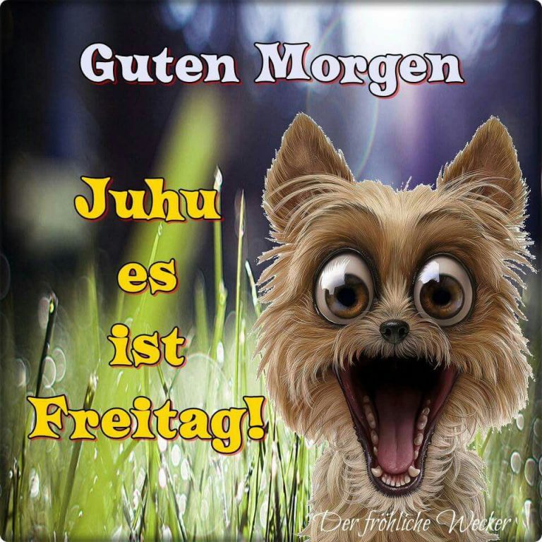 Fröhlichen freitag bilder