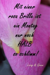 montag geschafft sprüche Bilder und Sprüche