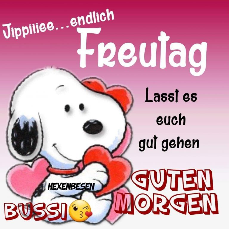 Holger freitag bilder