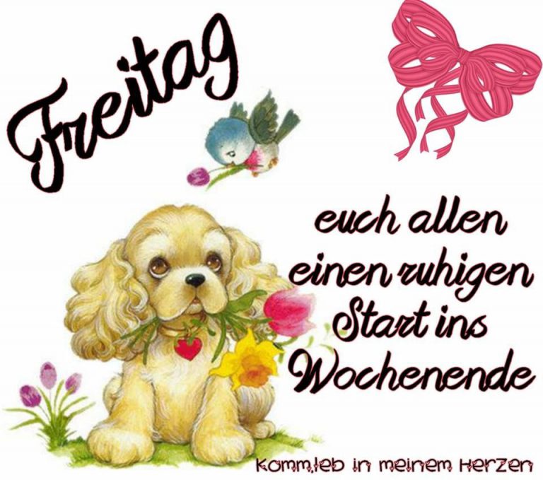 Hurra freitag bilder