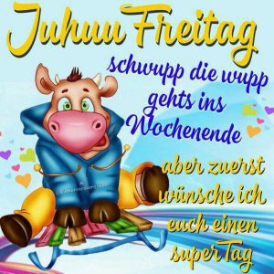 Lustige bilder freitag früh