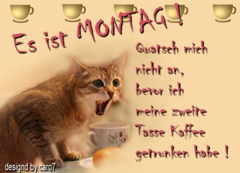 Moin montag bilder