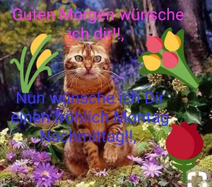 Montag bilder sprüche