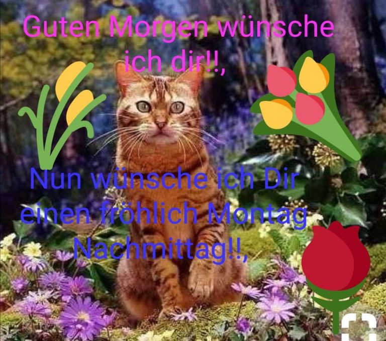 Montag bilder sprüche