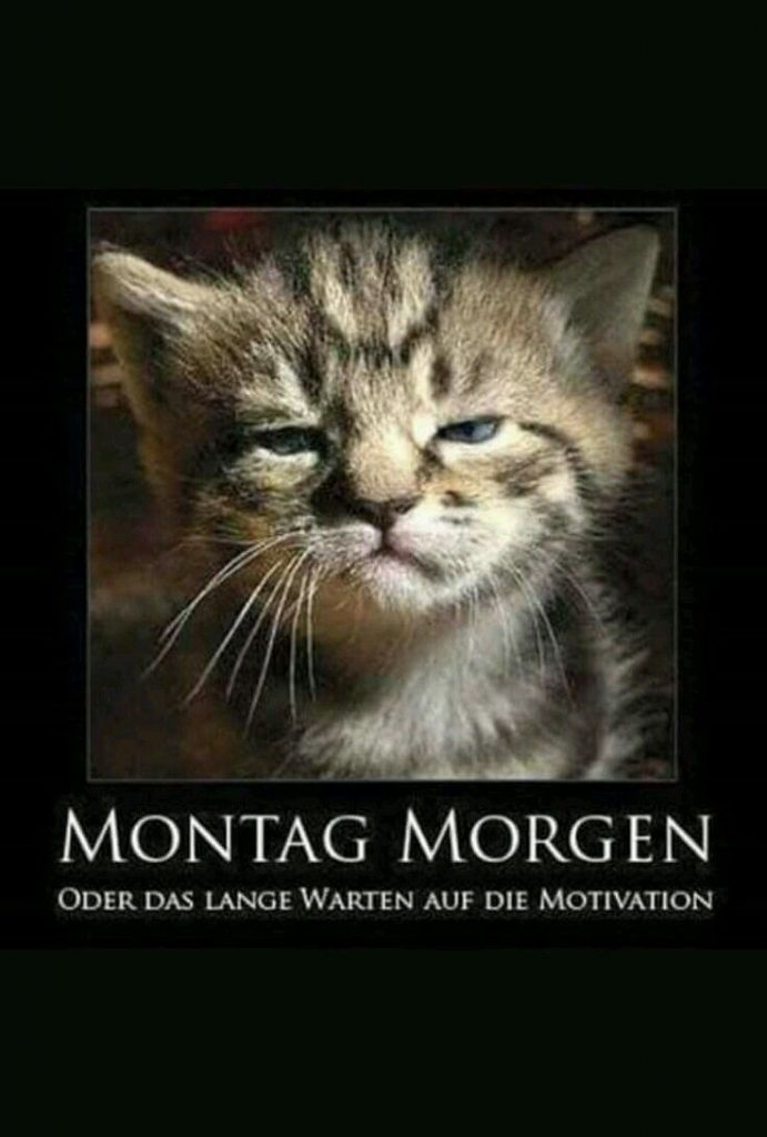 montag geschafft sprüche Bilder und Sprüche