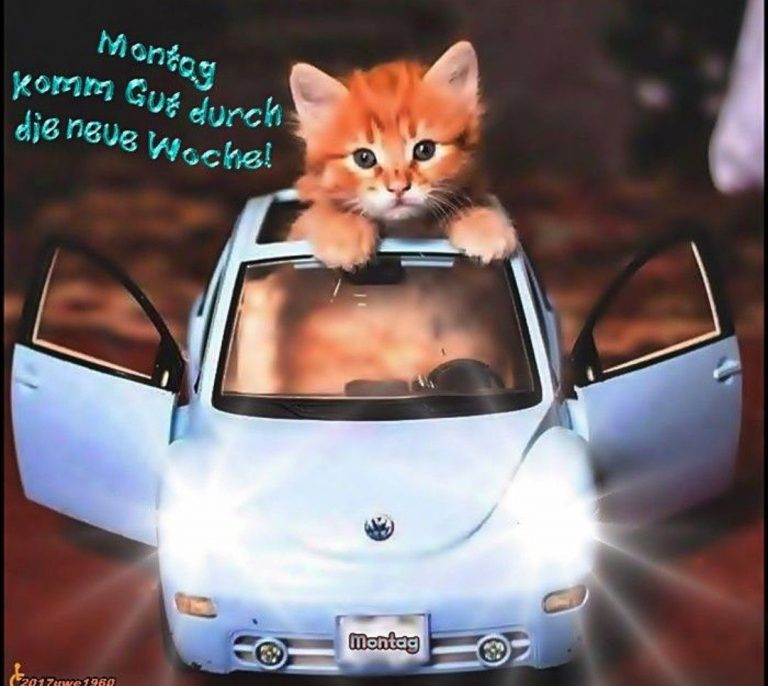 Montag geschafft bilder
