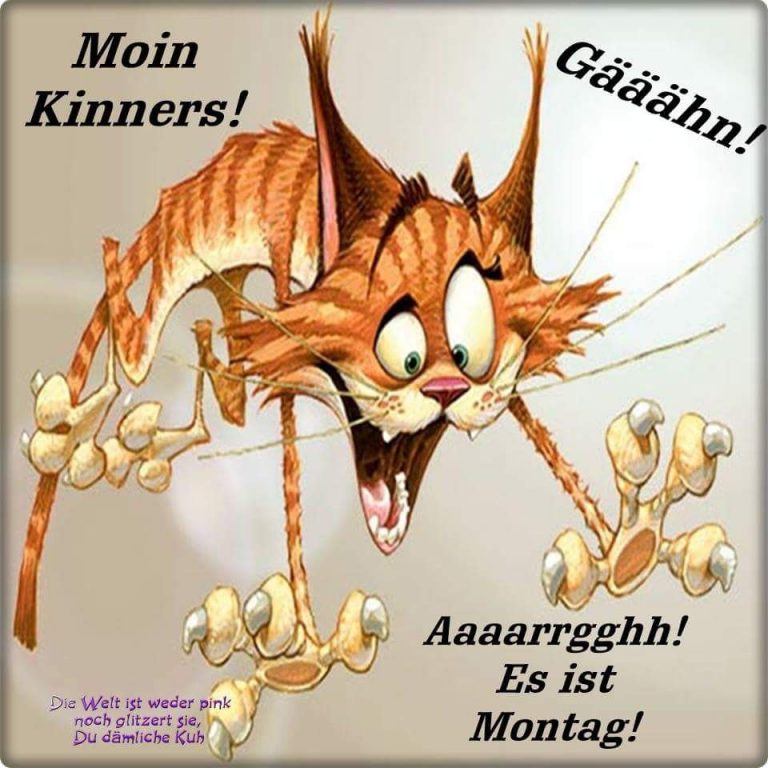 Montag ist da bilder