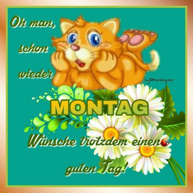 Montag nachmittag bilder