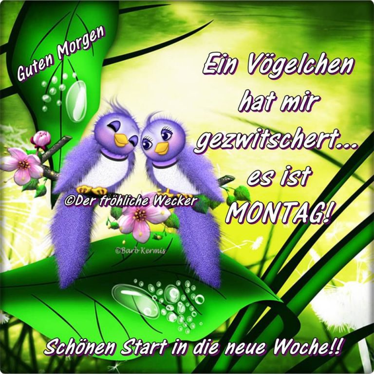 Montag naht bilder