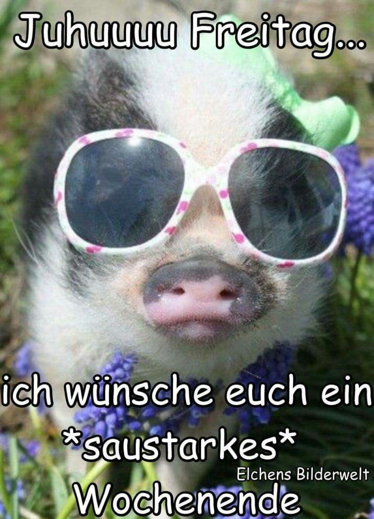 Schönen freitag fotos