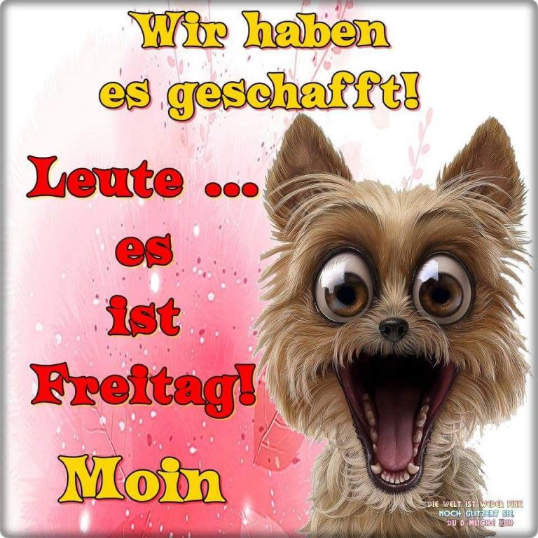 Schönen freitag gif lustig