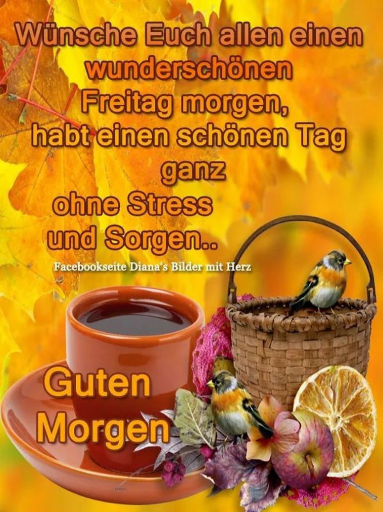 Schönen freitag abend und später eine gute nacht bilder Bilder und