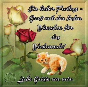 Schönen freitag nachmittag