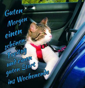Schönen freitag pics