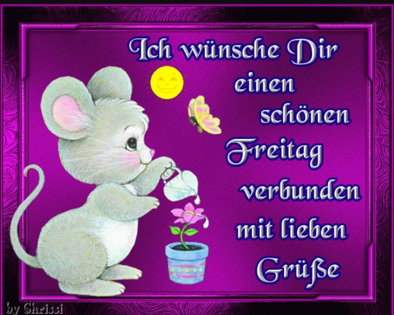 Schönen freitag trotz regen