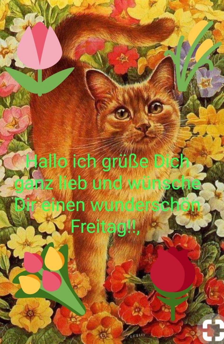 Schönen freitag türkisch