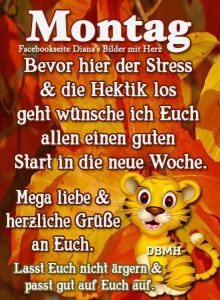 Schönen montag animiert