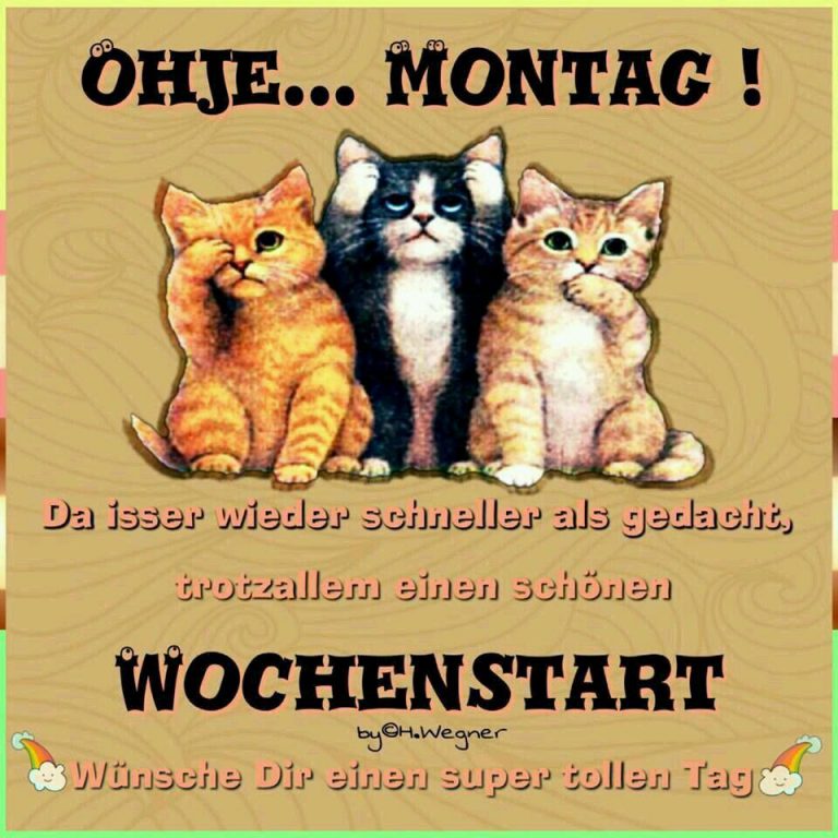 Schönen montag bilder gif