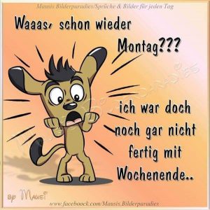 Schönen montag gif