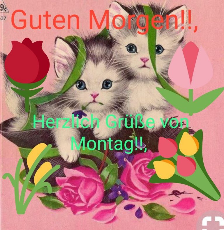Schönen montag grüße