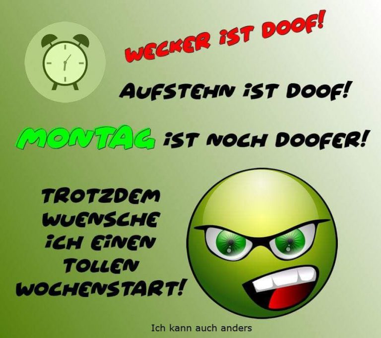 Schönen montag katze
