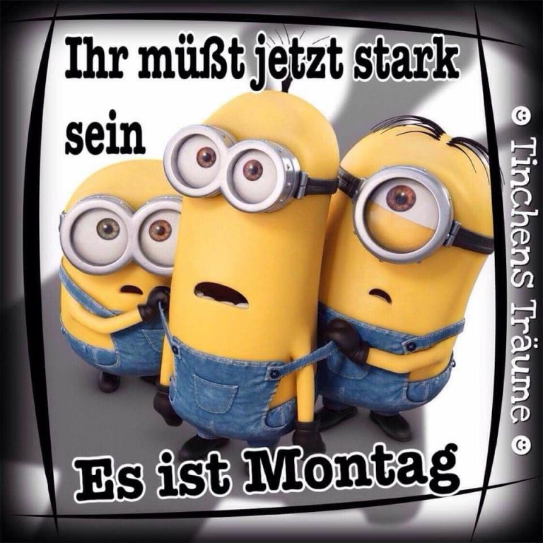 Schönen montag morgen katzen