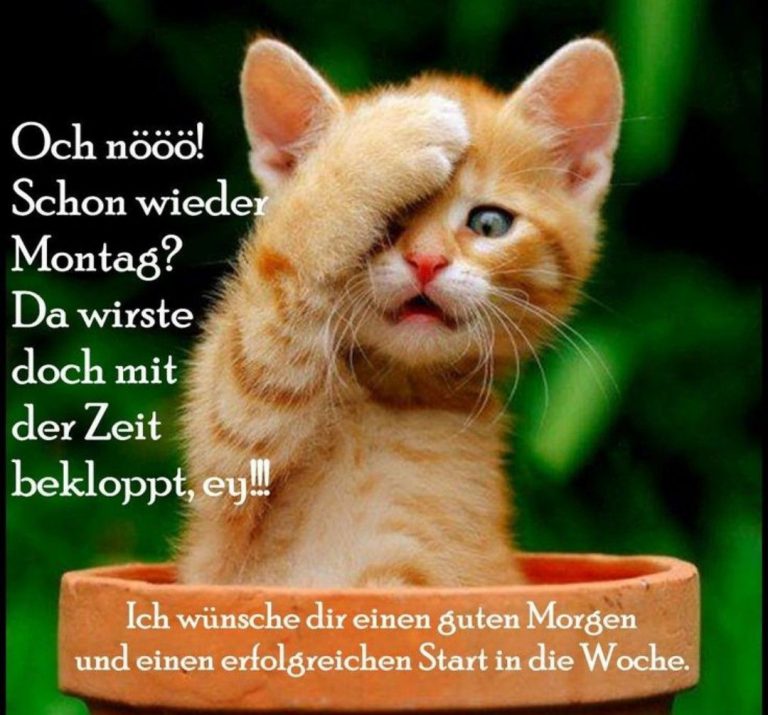 Schönen montag schriftzug
