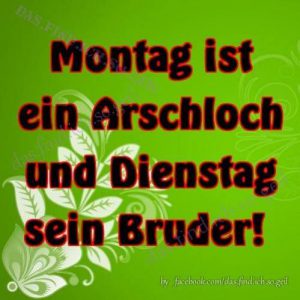 Wunderschönen montag bilder fürs handy