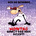 bl%C3%B6der montag spr%C3%BCche 150x150 - Guten morgen montag bilder lustig