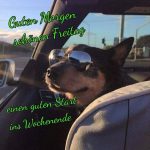 cool Freitag abend bilder kostenlos 150x150 - Dreamies schönen freitag
