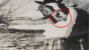 Gruselige bilder von früher bilder fürs handy