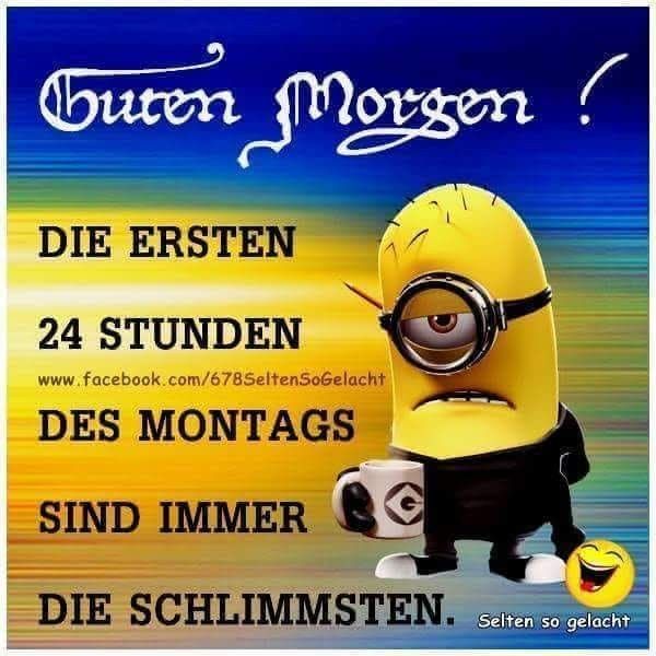 34++ Lustige bilder und sprueche zum montag ideas in 2021 