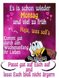 lustige sprüche montag morgen
