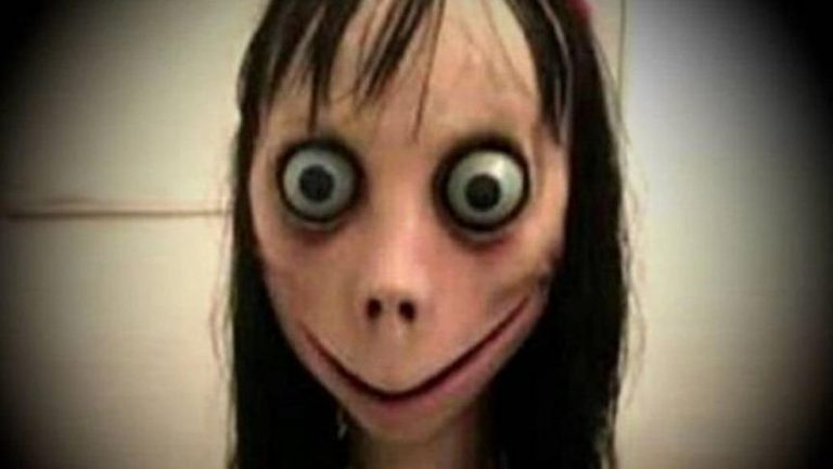 momo bilder