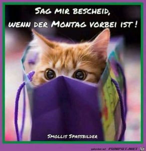 montag frei sprüche