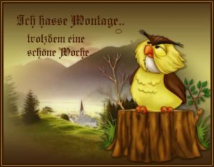 montag morgen sprüche